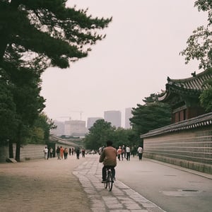 Exploring Seoul by Bike: Routes, Cafés & Culture Stops